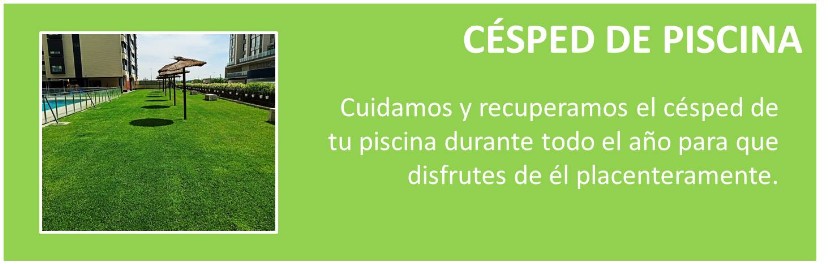 cesped, piscina, jardin piscina
