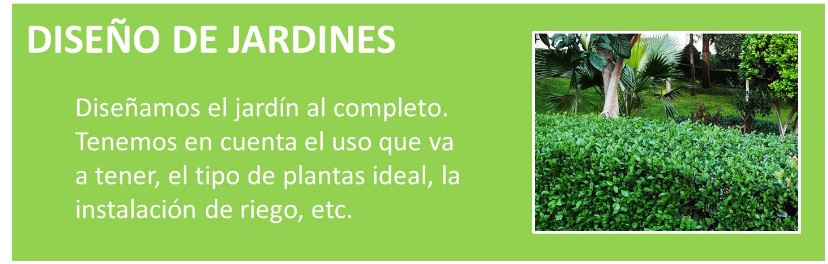 JARDINERO, MANTENIMIENTO, SETOS, PLANTAS, JARDIN