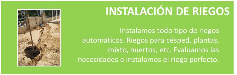 JARDINERO, MANTENIMIENTO, SETOS, PLANTAS, JARDIN, INSTALACION DE RIEGO AUTOMATICO