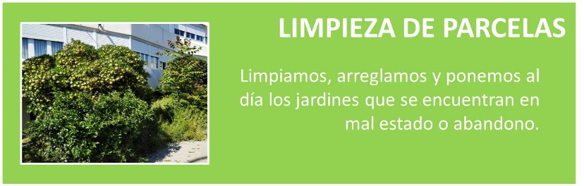 JARDINERO, MANTENIMIENTO, SETOS, PLANTAS, JARDIN, LIMPIEZA DE PARCELAS