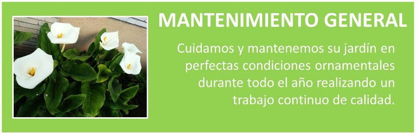 JARDINERO, MANTENIMIENTO, SETOS, PLANTAS, JARDIN
