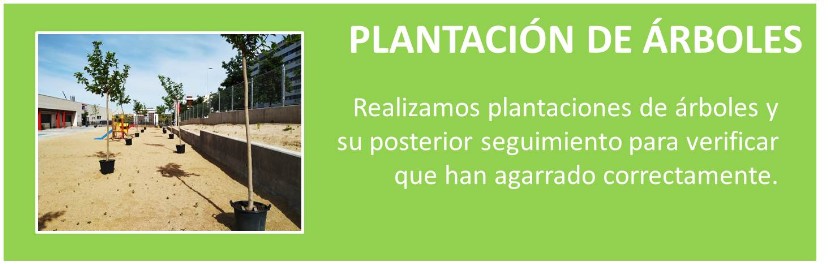 JARDINERO, MANTENIMIENTO, SETOS, PLANTAS, JARDIN