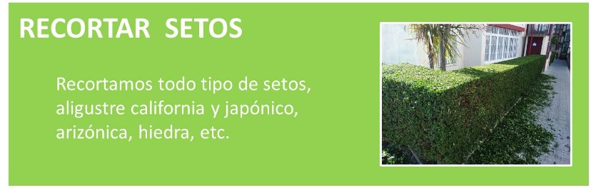 JARDINERO, MANTENIMIENTO, RECORTAR SETOS, PERFILAR SETOS, PLANTAS, JARDIN
