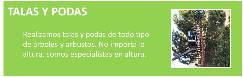 JARDINERO, MANTENIMIENTO, SETOS, PLANTAS, JARDIN, TALAS, PODAS